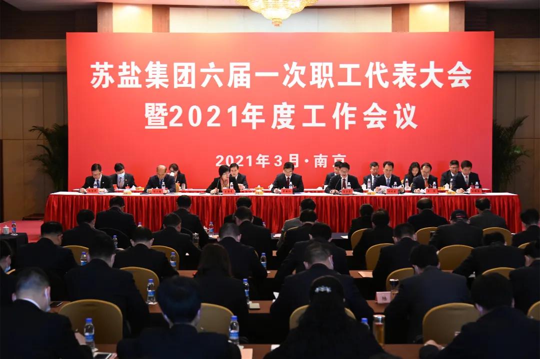 開局，2021蘇鹽交出高質(zhì)量倍增發(fā)展優(yōu)異答卷